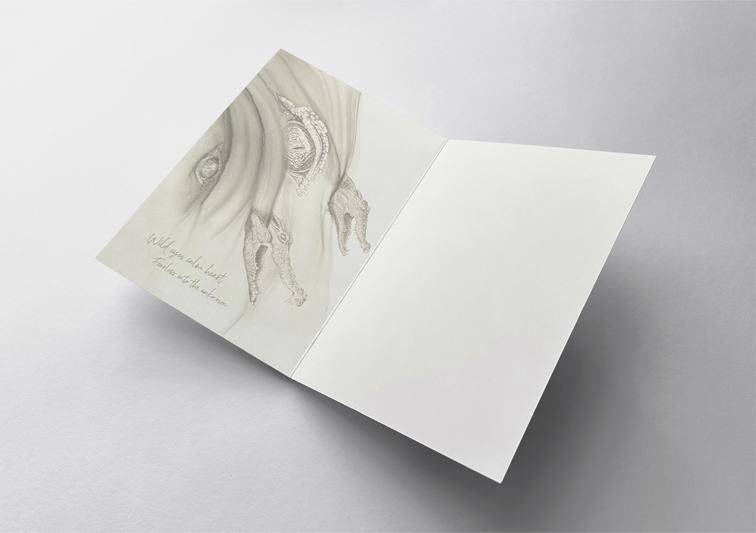 Sina Holste · Grafik Design & Illustration