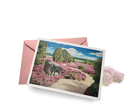 Sina Holste · Grafik Design & Illustration