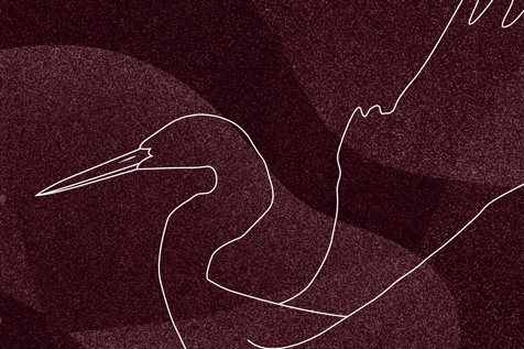 Animation des Aufbaus einer Line Grafik von Sina Holste Grafik Design